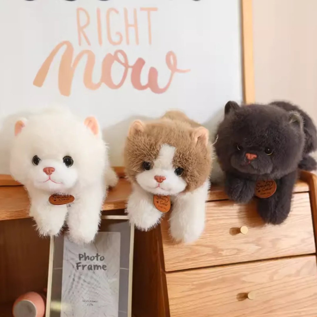 Мягкая игрушка BULU-XIONG Кот, 25 см купить,NaN
