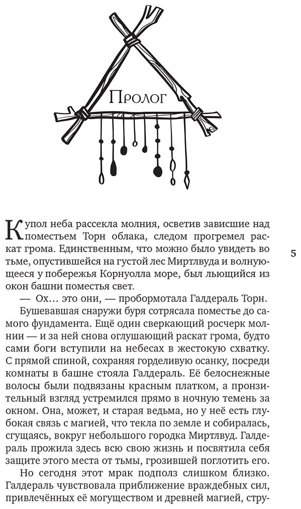 Книга Биглхоул А.: Спонтанная магия. Книга 1. Загадки Миртлвуда купить,NaN