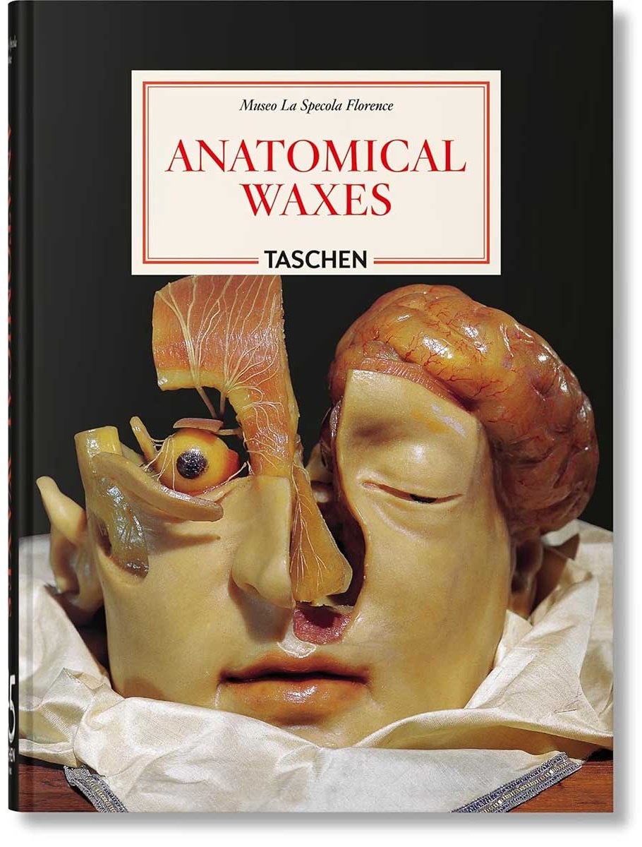 Книга Без автора: Anatomical Waxes. 45th Ed. купить,NaN