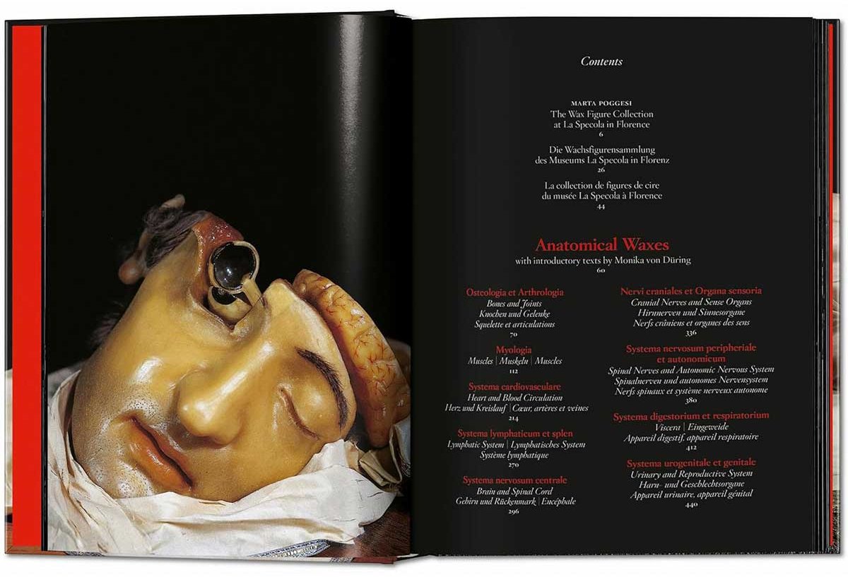 Книга Без автора: Anatomical Waxes. 45th Ed. купить,NaN
