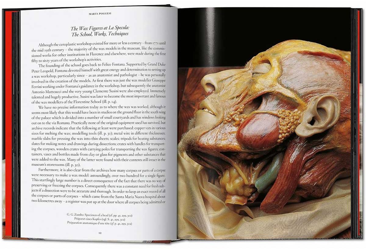 Книга Без автора: Anatomical Waxes. 45th Ed. купить,NaN