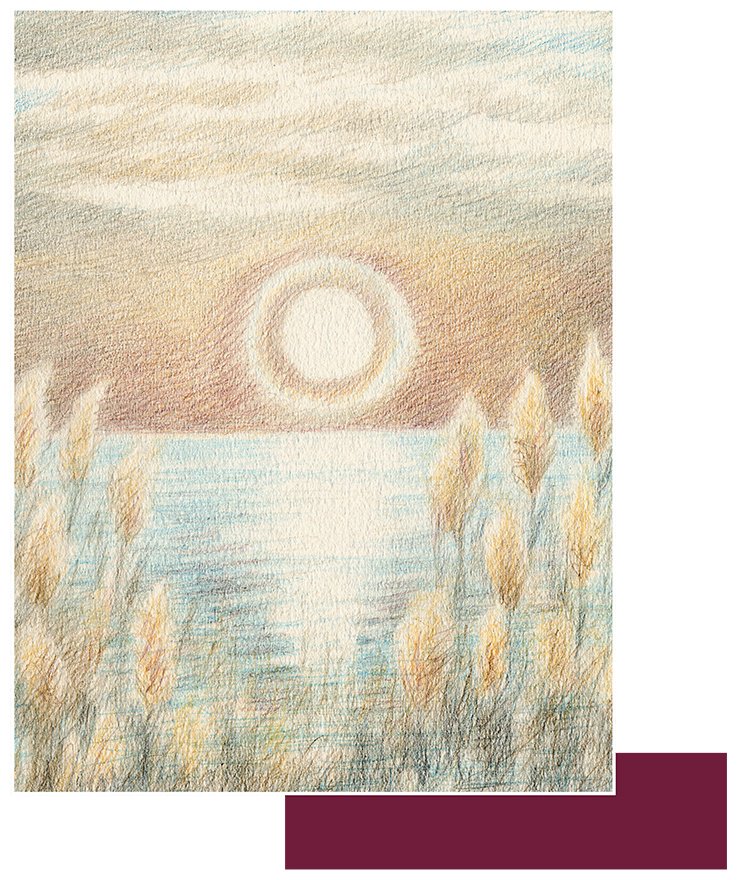 Книга Нет автора: Қозы Көрпеш (Көпейұлы М. нұсқасы) купить,NaN