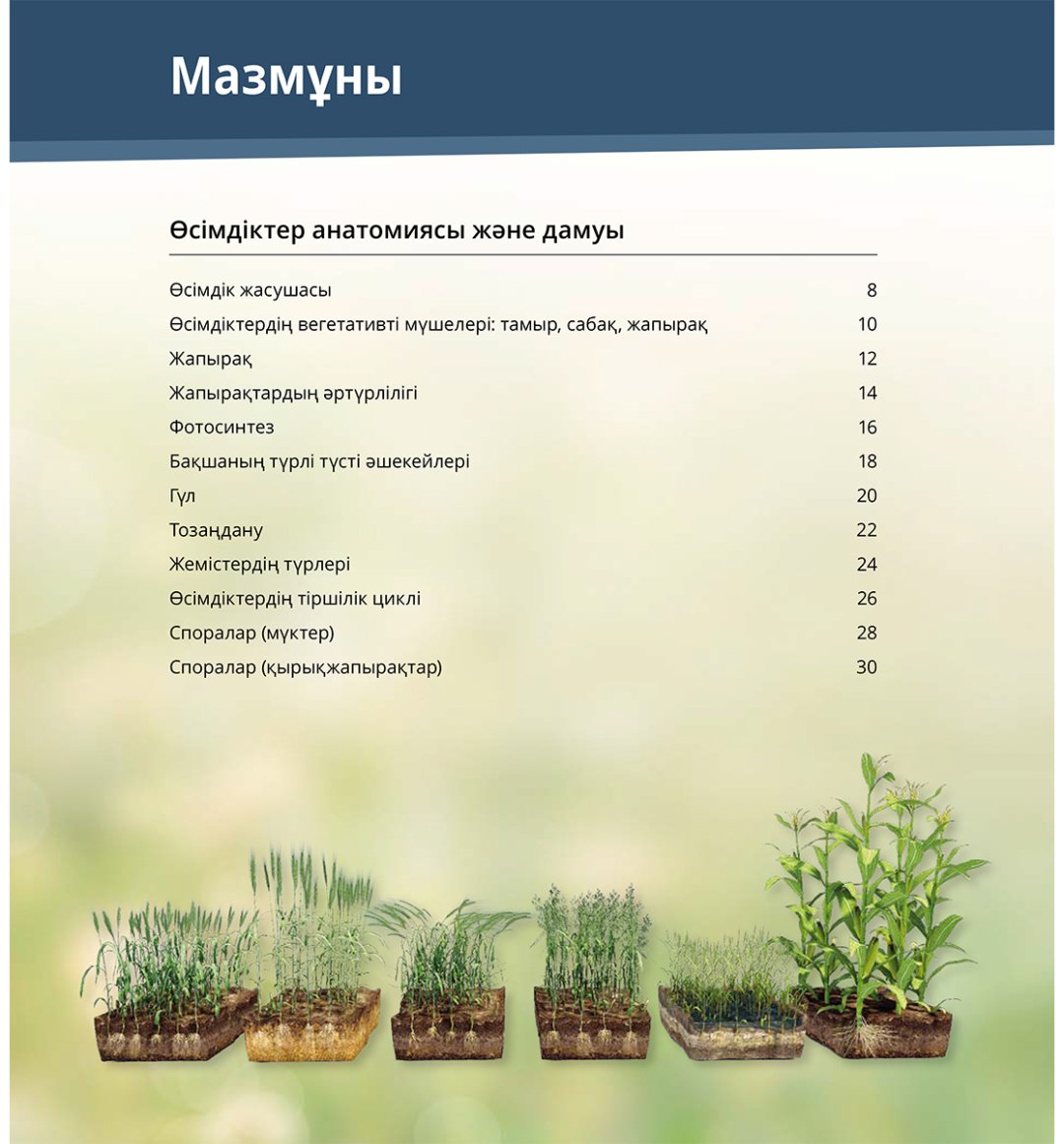Книга Коллектив авторов: Интербелсенді 3Д-кітап: Өсімдіктер мен саңырауқұлақтар купить,NaN