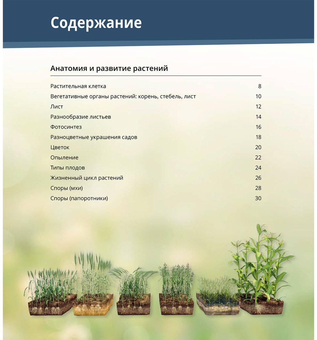 Книга Коллектив авторов: Интерактивная 3Д-книга: Растения и грибы купить,NaN