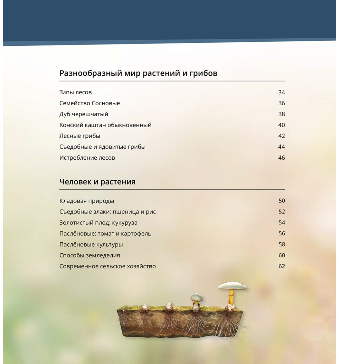 Книга Коллектив авторов: Интерактивная 3Д-книга: Растения и грибы купить,NaN