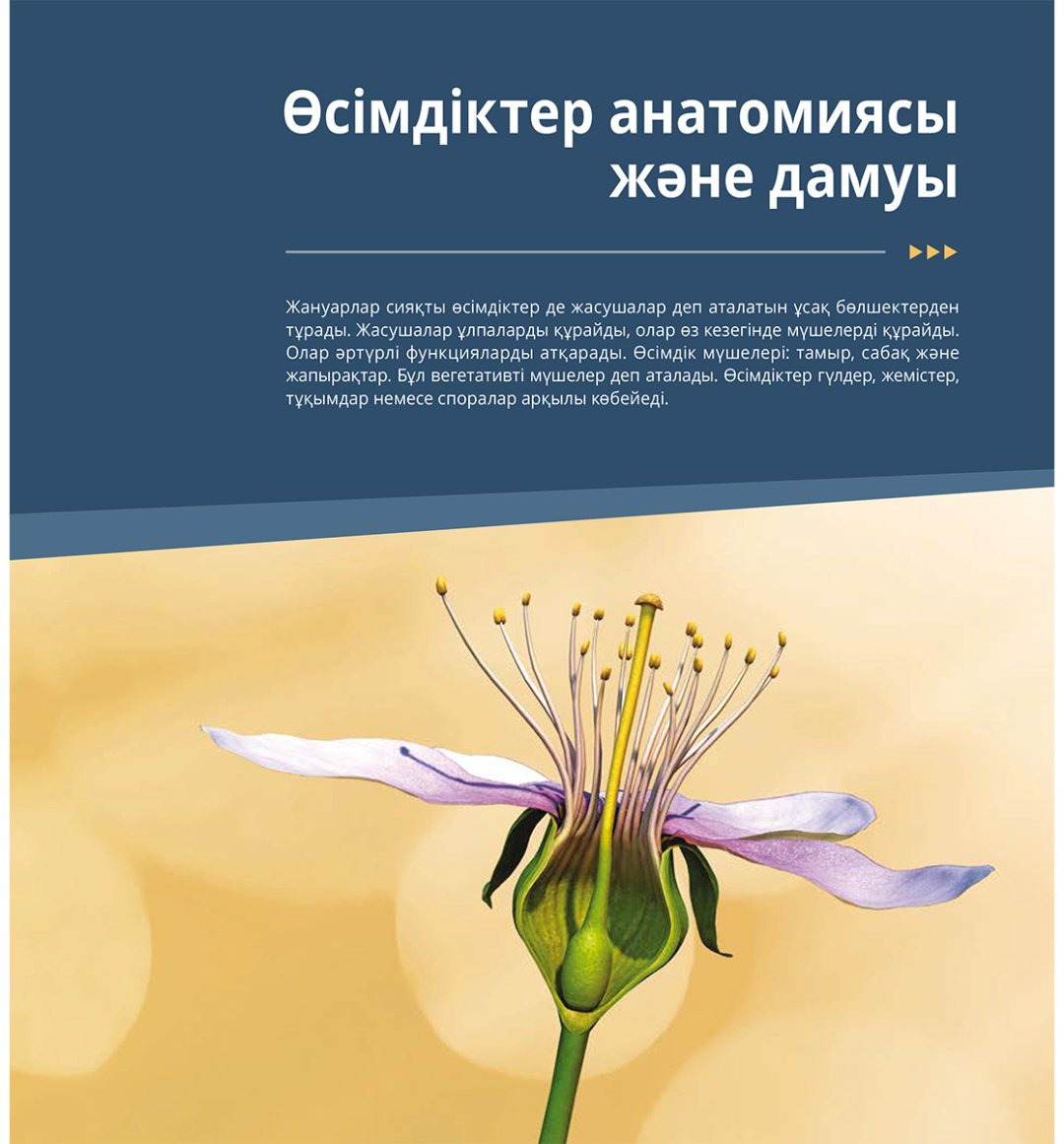 Книга Коллектив авторов: Интербелсенді 3Д-кітап: Өсімдіктер мен саңырауқұлақтар купить,NaN