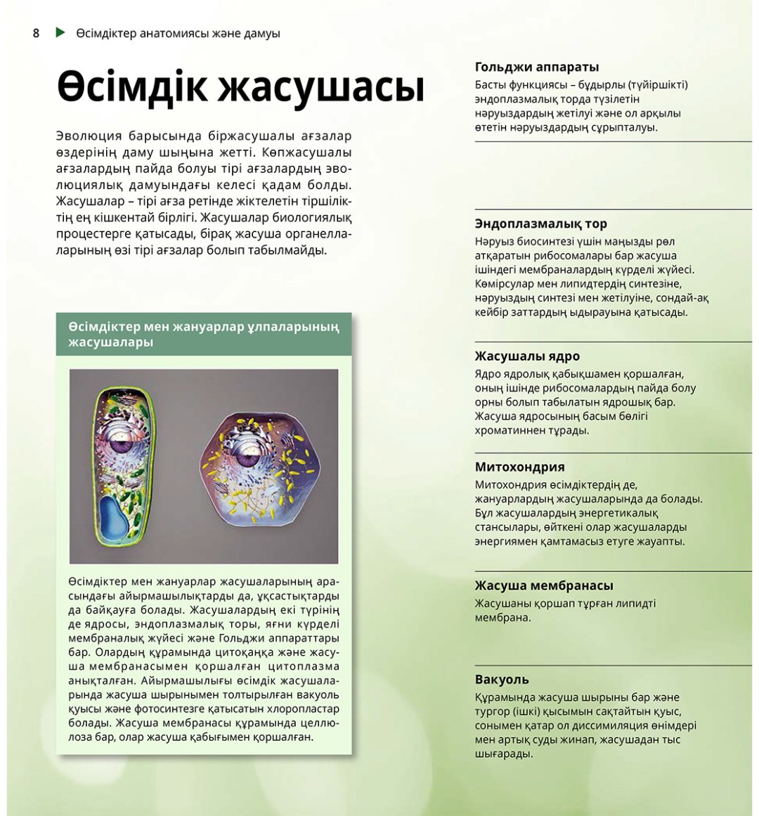 Книга Коллектив авторов: Интербелсенді 3Д-кітап: Өсімдіктер мен саңырауқұлақтар купить,NaN
