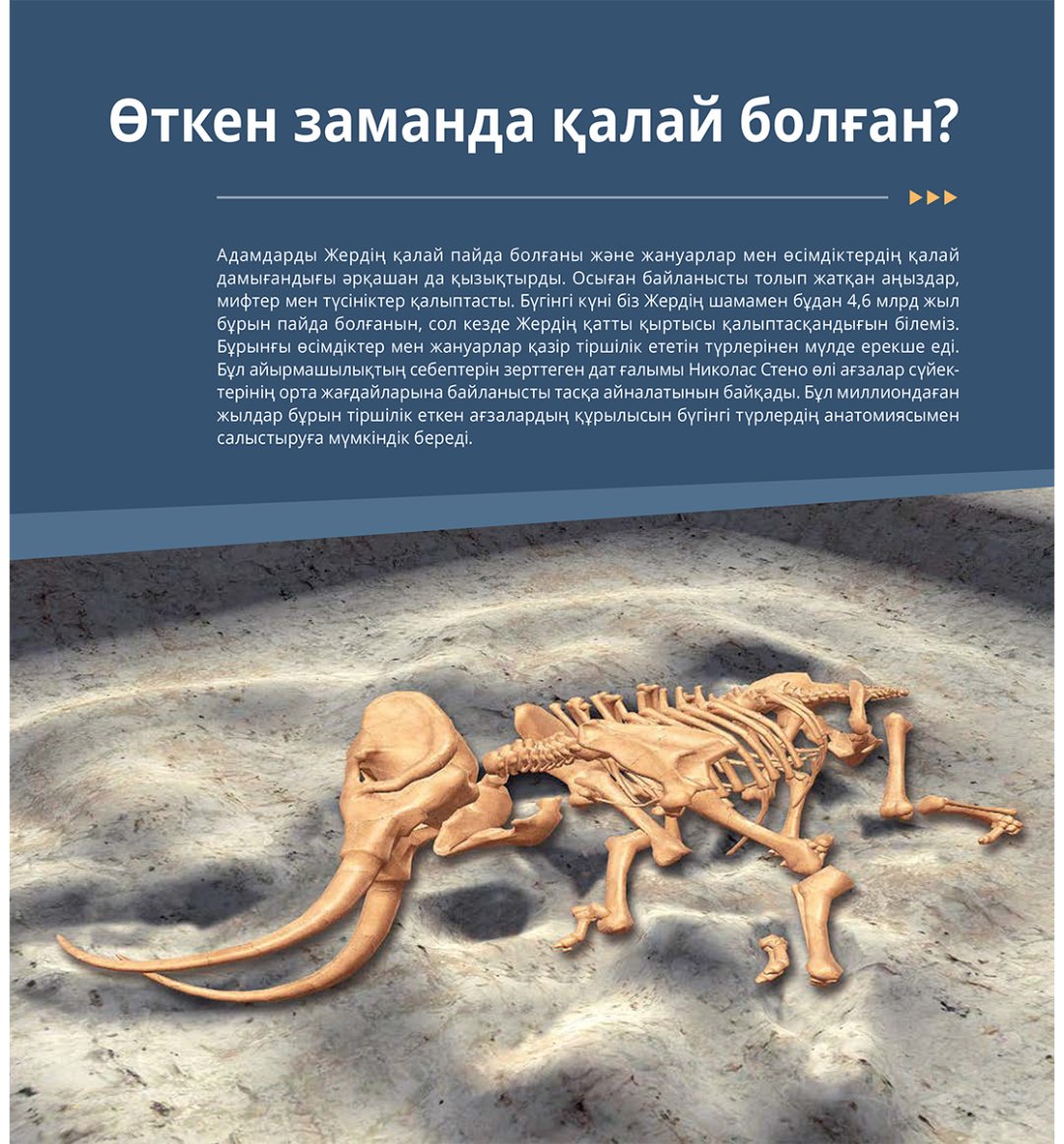 Книга Коллектив авторов: Интербелсенді 3Д-кітап: Ежелгі жануарлар купить,NaN