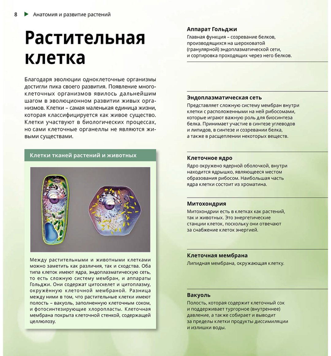 Книга Коллектив авторов: Интерактивная 3Д-книга: Растения и грибы купить,NaN