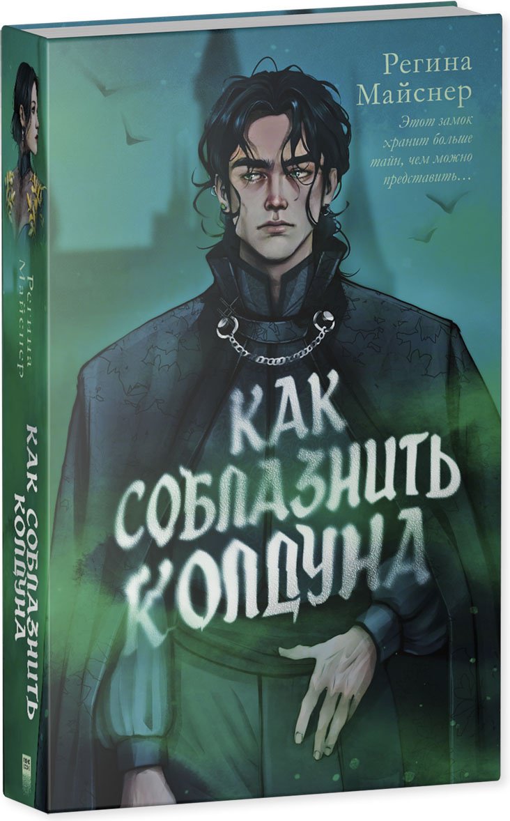Книга Майснер Регина: Как соблазнить колдуна купить,NaN