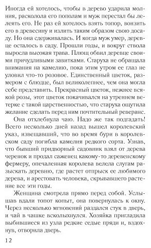 Книга Джио С.: Последняя камелия купить,NaN