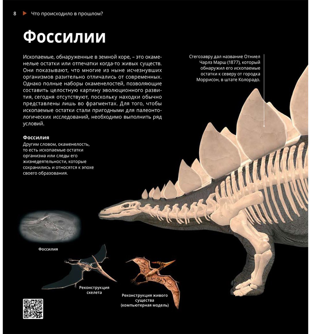 Книга Коллектив авторов: Интерактивная 3Д-книга: Животные древности купить,NaN