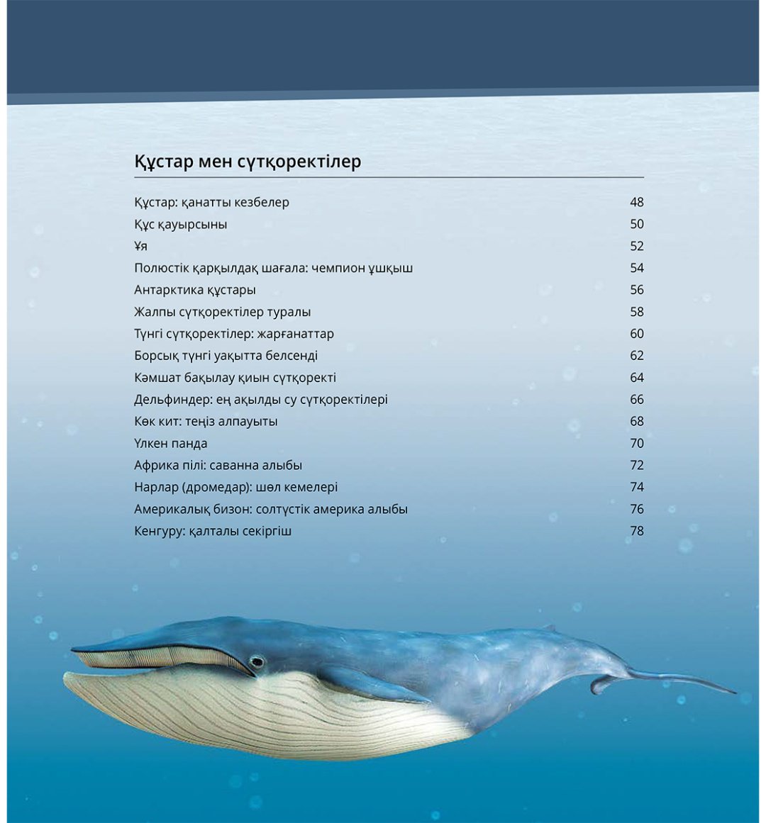 Книга Коллектив авторов: Интербелсенді 3Д-кітап: Жануарлар әлемі купить,NaN