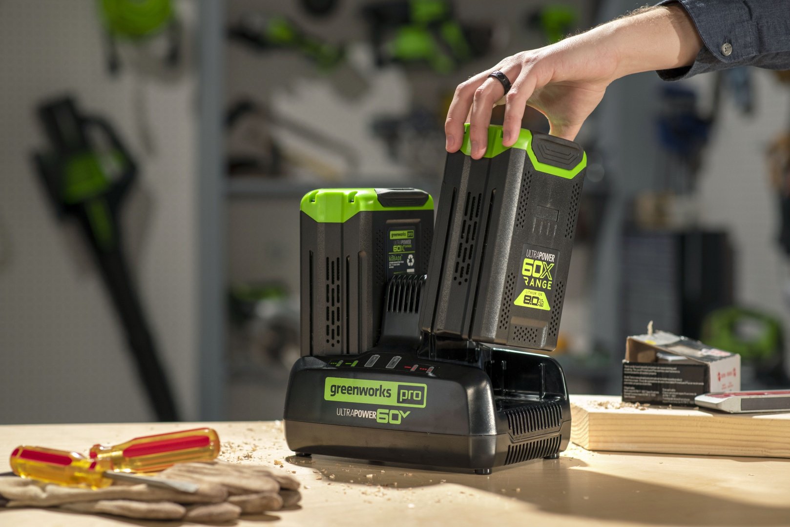 Зарядное устройство Greenworks G60DC10 1 шт купить,92892