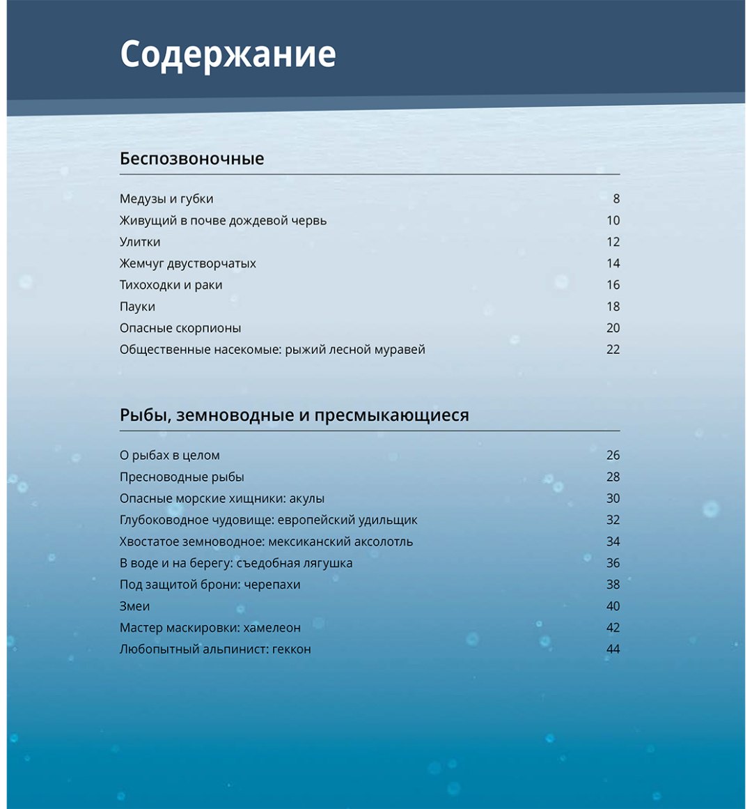 Книга Нет автора: Интерактивная 3Д-книга: Мир животных купить,NaN