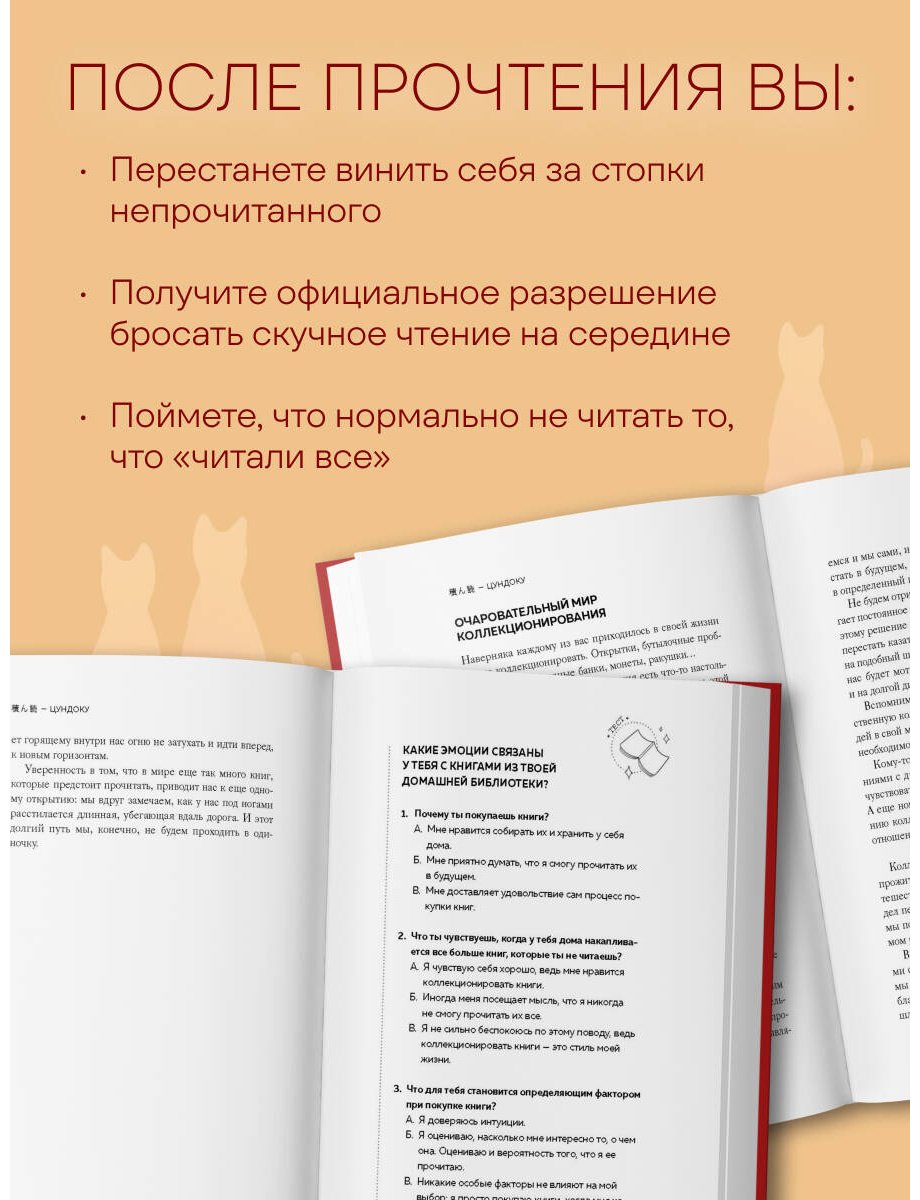 Книга Раито Пим Т.: Цундоку. Японское искусство коллекционирования книг купить,NaN