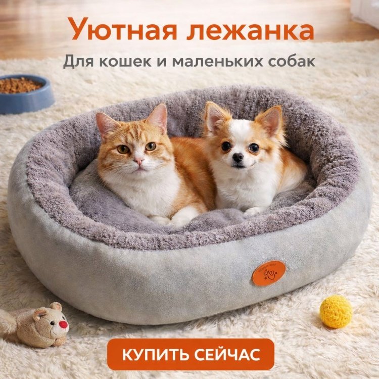 Лежак 578233 50x40 см купить,5600