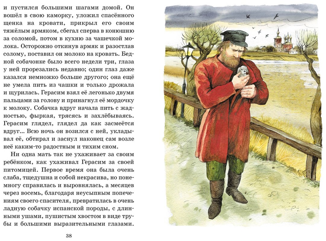 Книга Тургенев И. С.: Муму купить,NaN