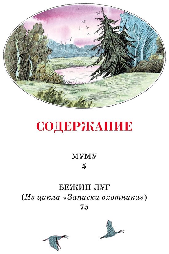 Книга Тургенев И. С.: Муму купить,NaN