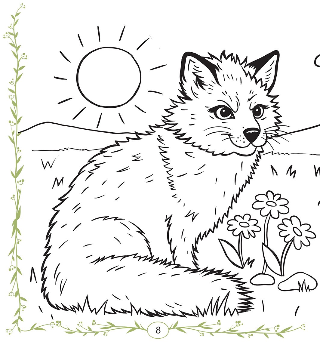 Книга Коллектив авторов: Түлкі мен бөдене купить,NaN