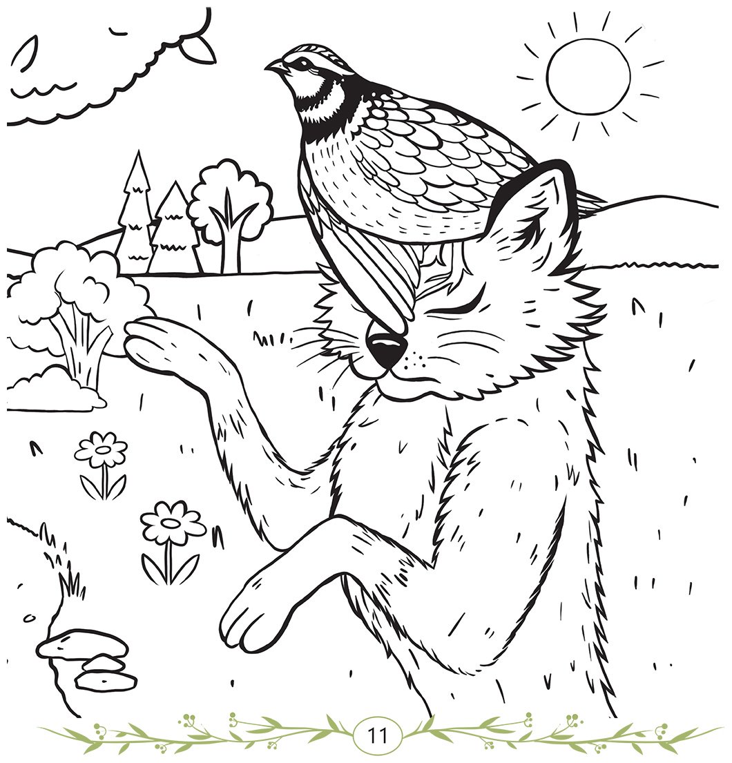 Книга Коллектив авторов: Түлкі мен бөдене купить,NaN