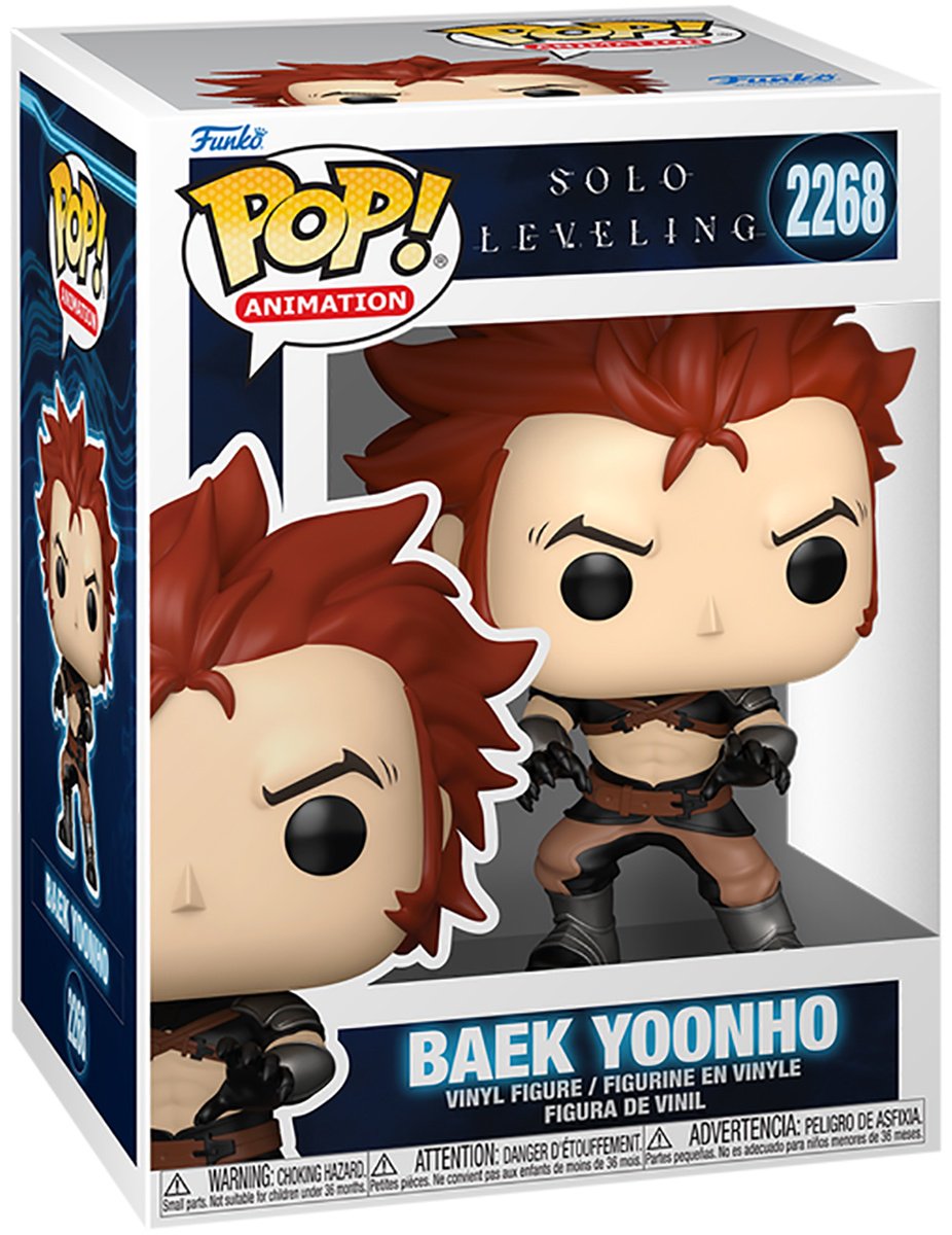 Funko Solo Leveling, Pop! Vinyl, Pop! Vinyl 9.5 см 1 шт купить,NaN