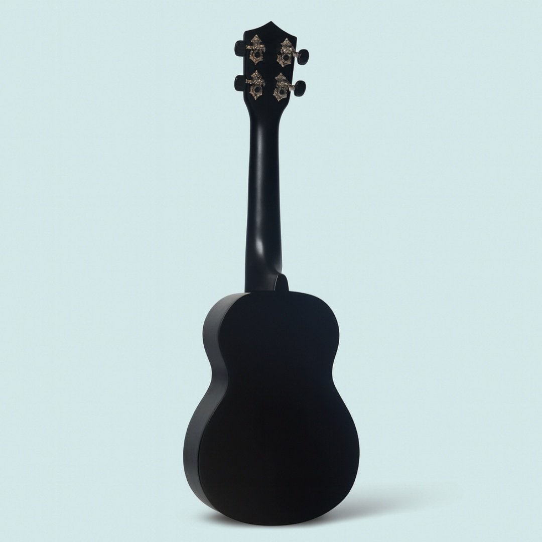 Укулеле сопрано Levinson US-10 BK PACK купить,18000