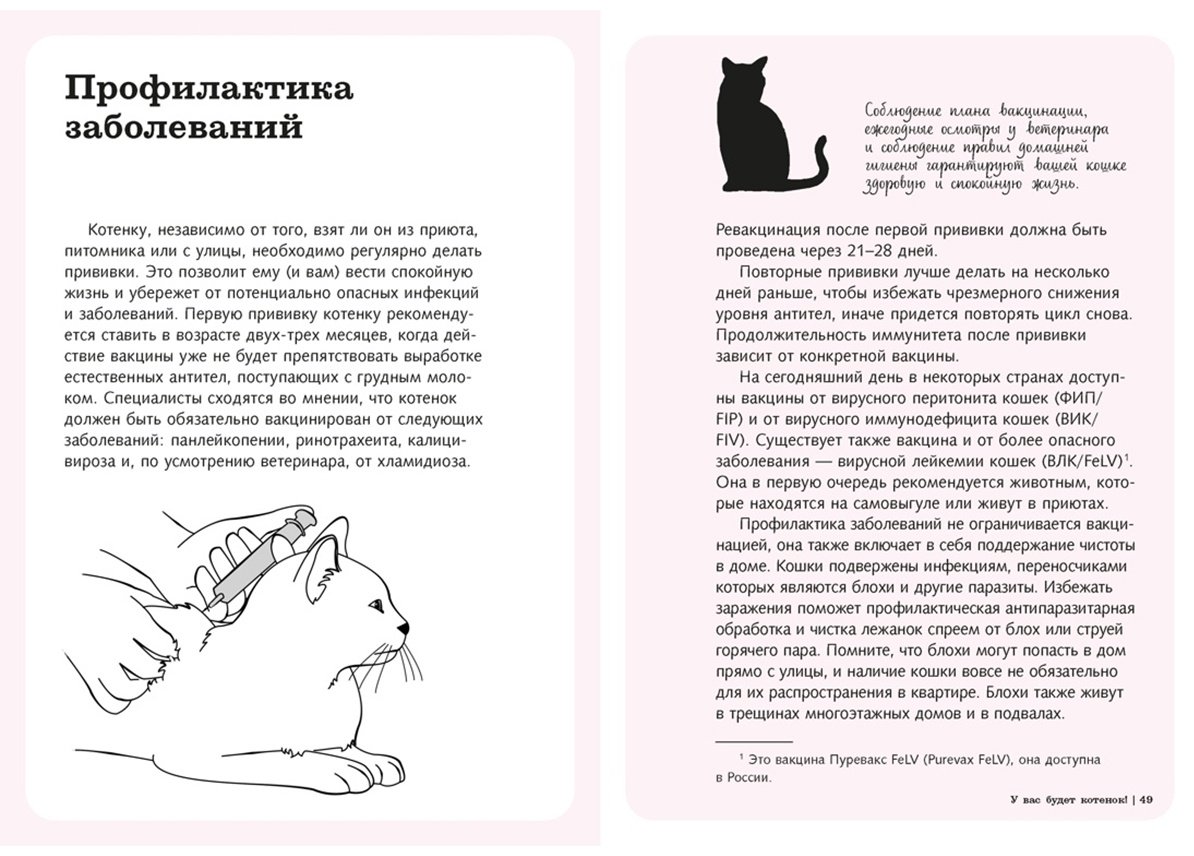 Книга Эрколе Э.: Гладить! Кормить! Любить! Замурчательное пособие по счастливой жизни с кошкой купить,NaN