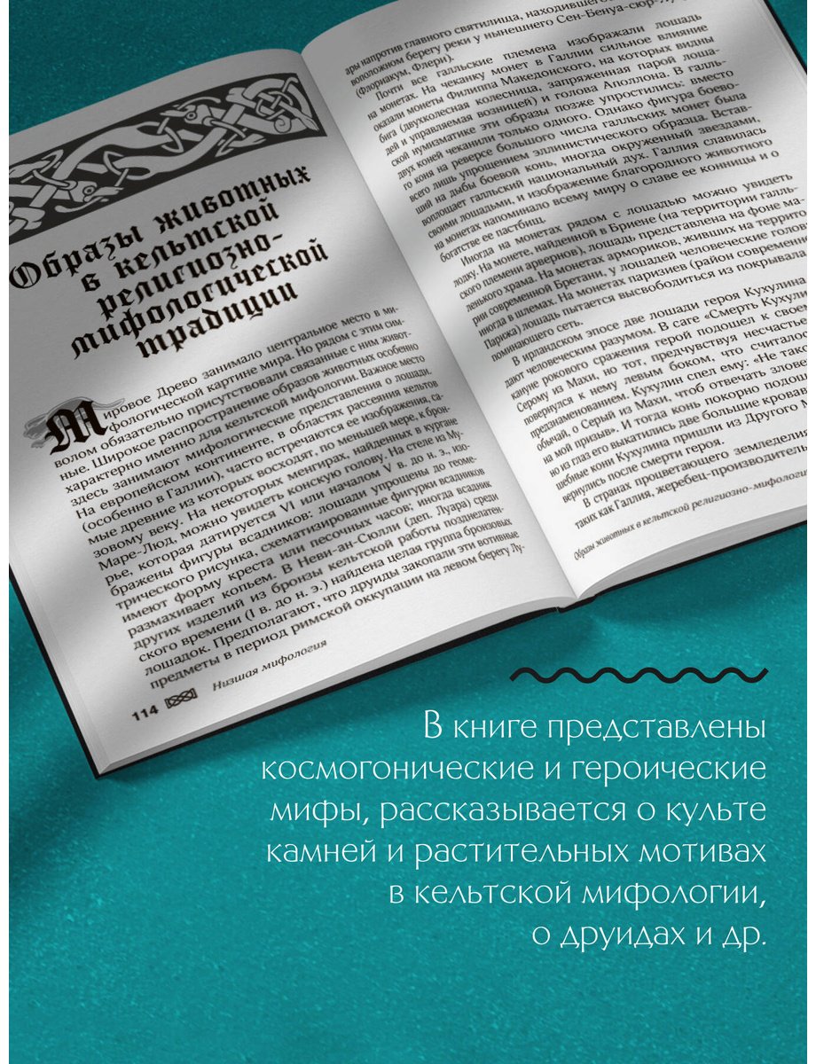 Книга Широкова Н. С.: Мифы кельтских народов. Боги, герои, силы природы, символы, мотивы, ритуалы, друиды купить,NaN