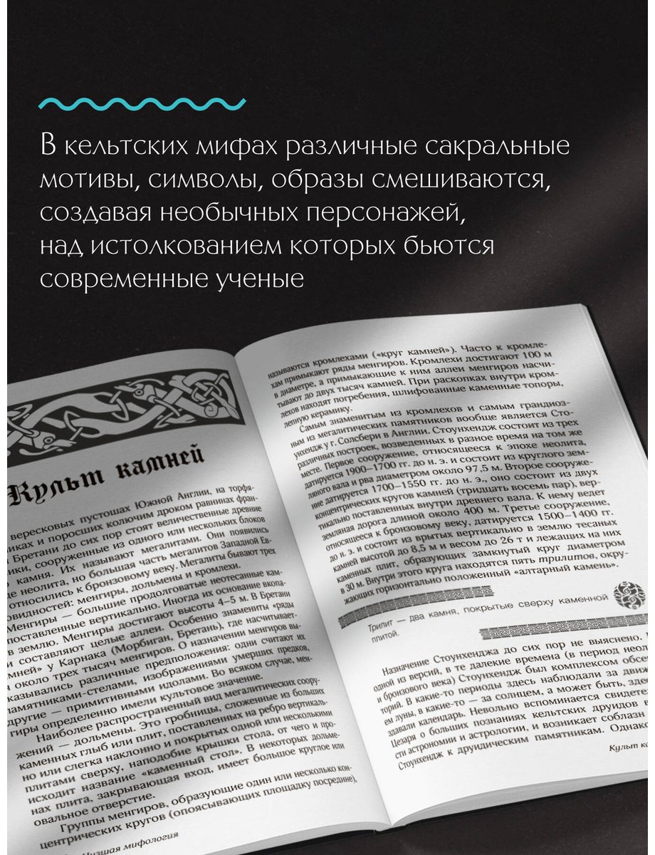 Книга Широкова Н. С.: Мифы кельтских народов. Боги, герои, силы природы, символы, мотивы, ритуалы, друиды купить,NaN