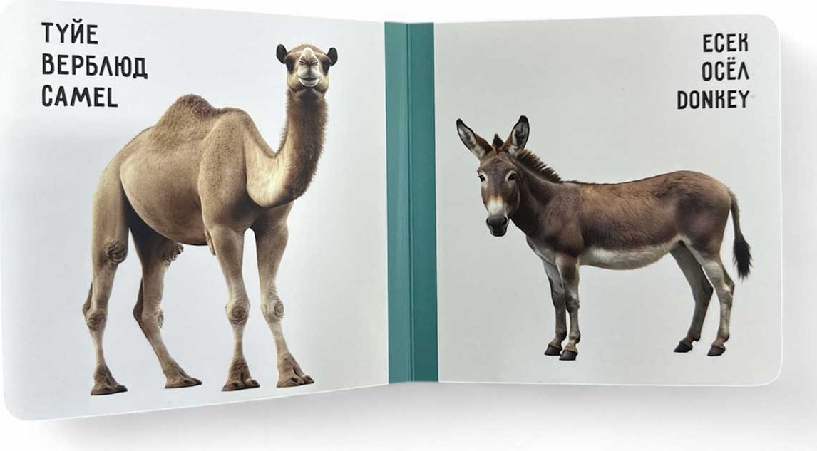 Книга Без автора: Үй жануарлары. Домашние животные. Farm animals купить,NaN