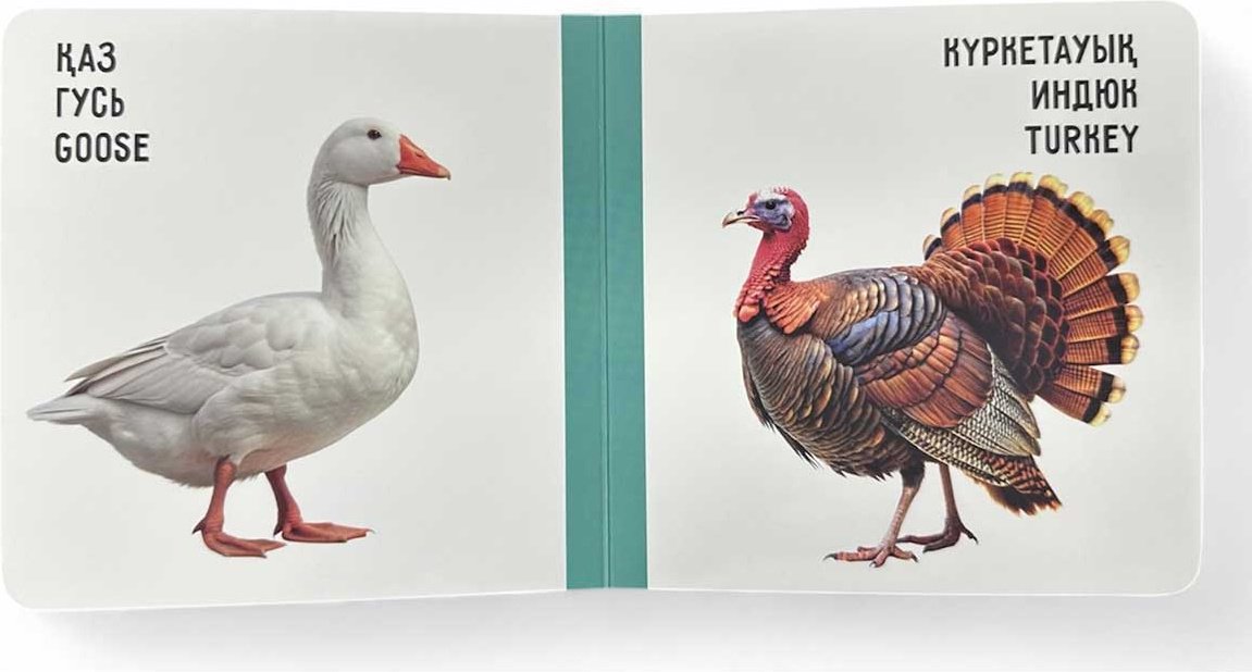 Книга Без автора: Үй жануарлары. Домашние животные. Farm animals купить,NaN
