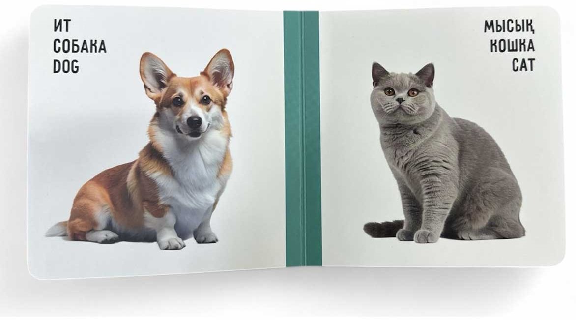 Книга Без автора: Үй жануарлары. Домашние животные. Farm animals купить,NaN