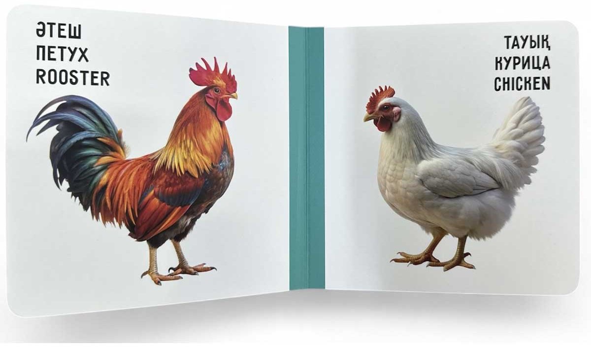 Книга Без автора: Үй жануарлары. Домашние животные. Farm animals купить,NaN