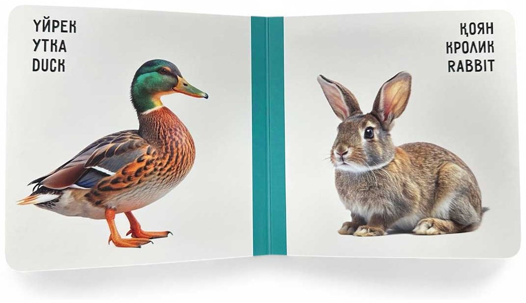 Книга Без автора: Үй жануарлары. Домашние животные. Farm animals купить,NaN