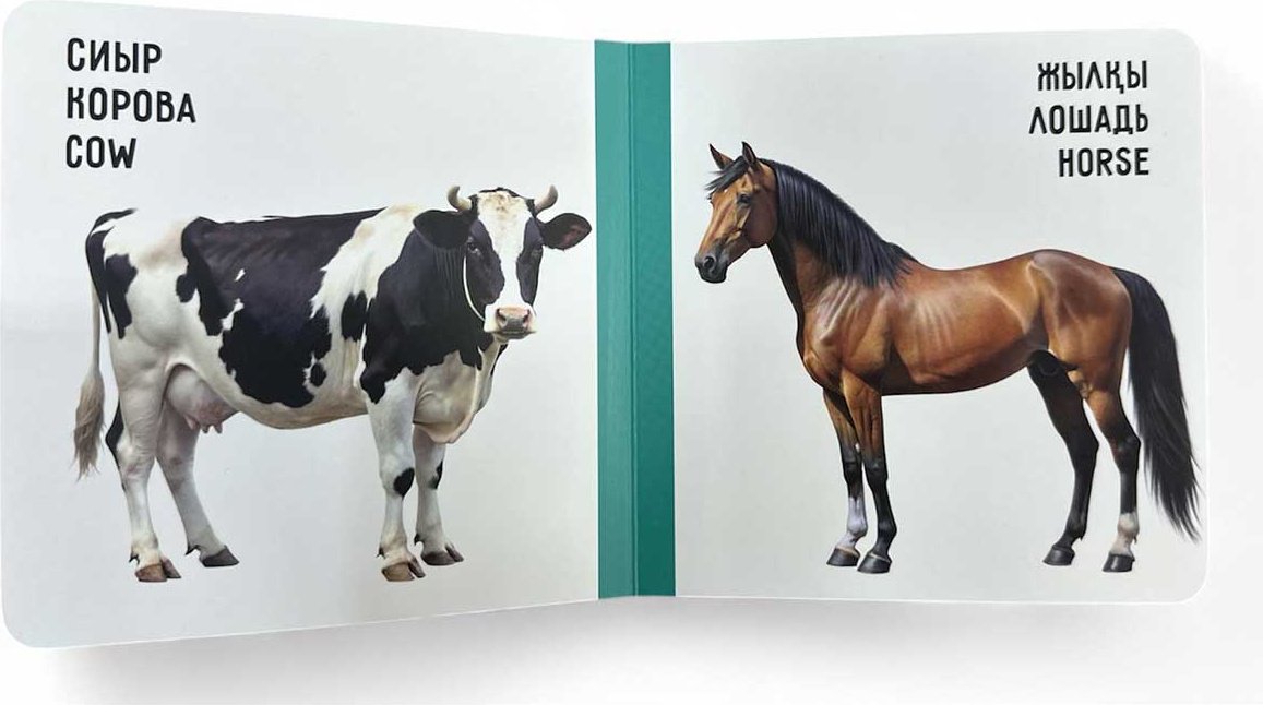 Книга Без автора: Үй жануарлары. Домашние животные. Farm animals купить,NaN