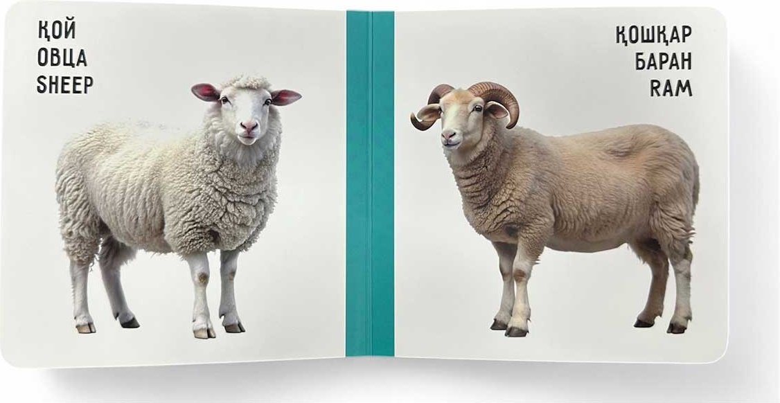 Книга Без автора: Үй жануарлары. Домашние животные. Farm animals купить,NaN