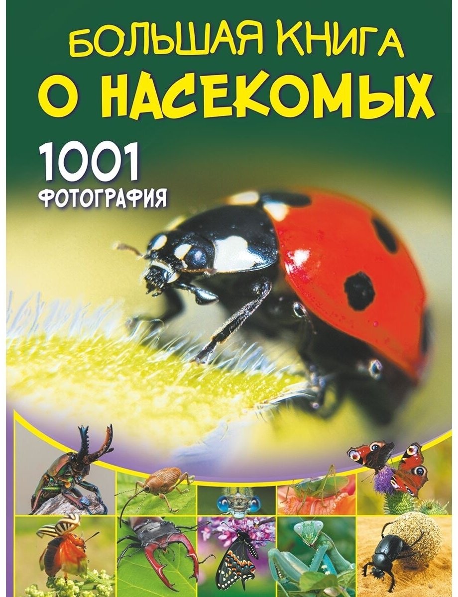 Книга Спектор А. А.: Большая книга о насекомых. 1001 фотография купить,NaN