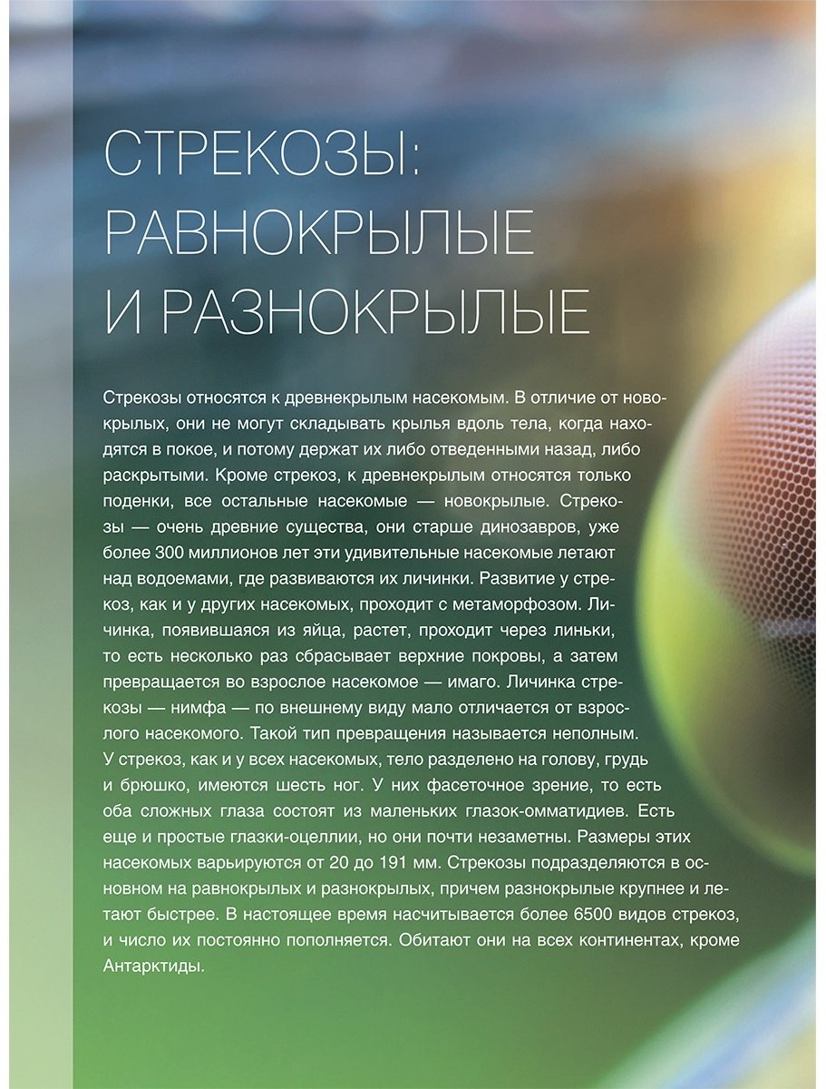 Книга Спектор А. А.: Большая книга о насекомых. 1001 фотография купить,NaN