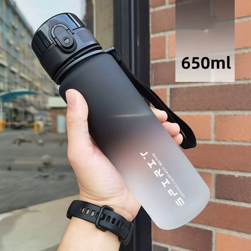 Бутылка Spirit Fitness spirit-650 650 мл черный