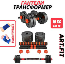 ART FiT DT10 10 кг 2 шт