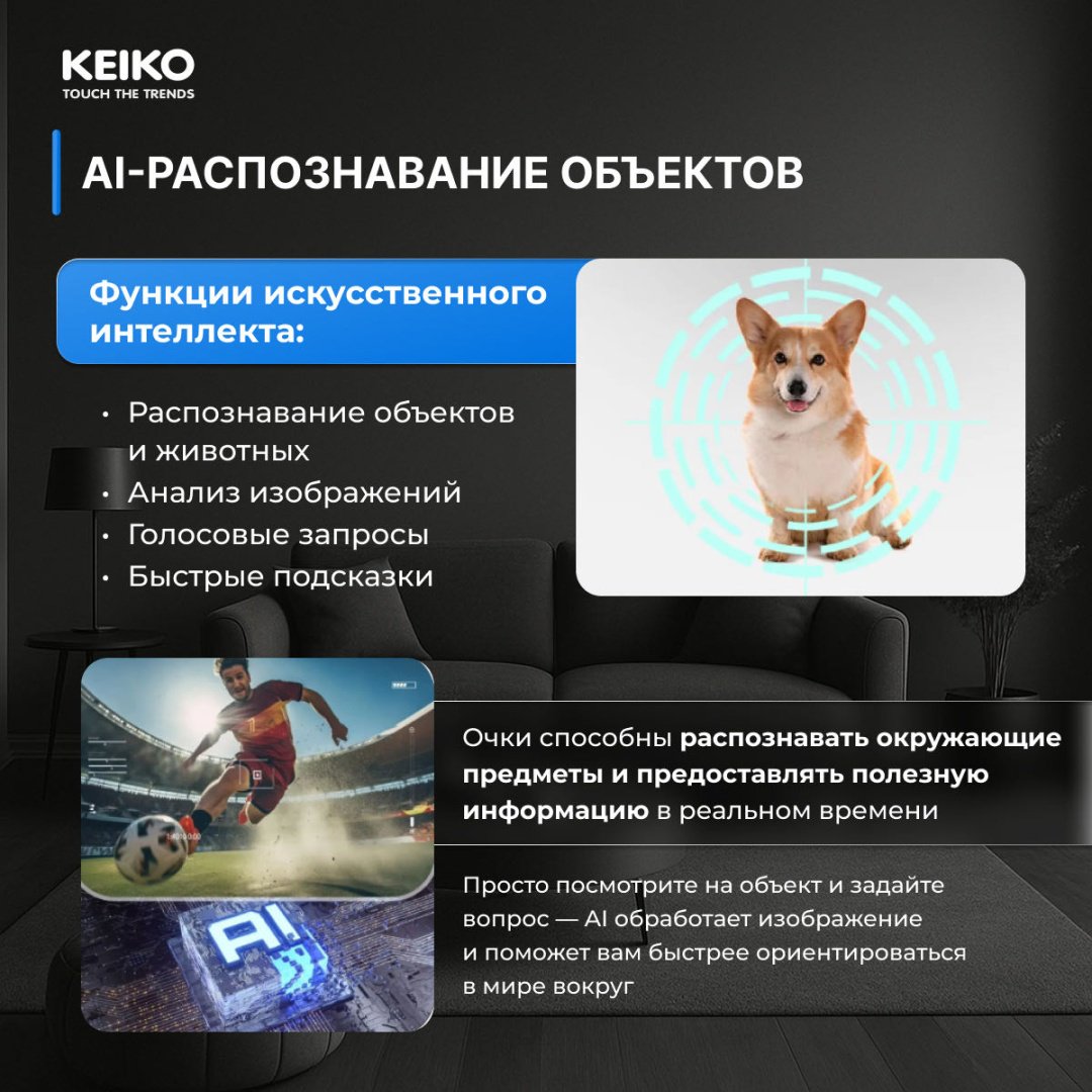Смарт-очки KEIKO Vision AI черный