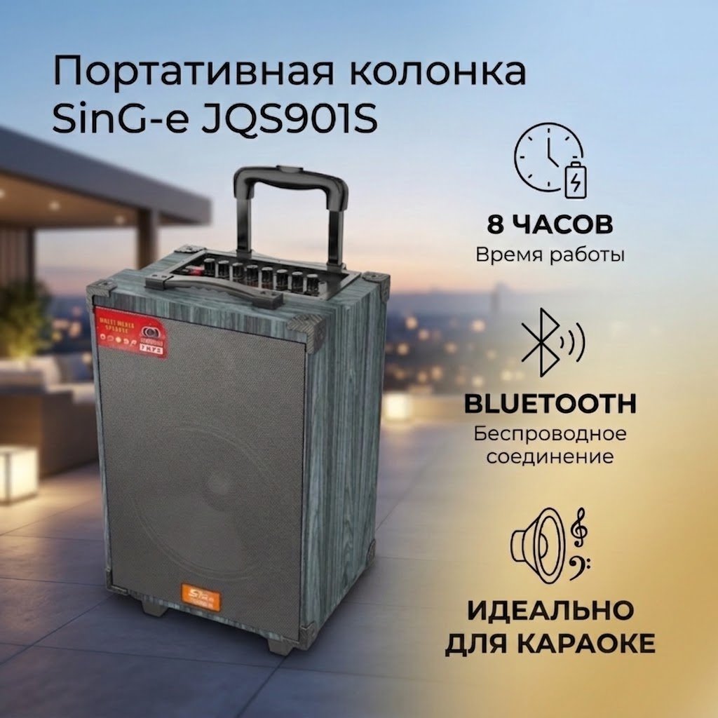 Портативная колонка SinG-e JQS901S черный купить,31000