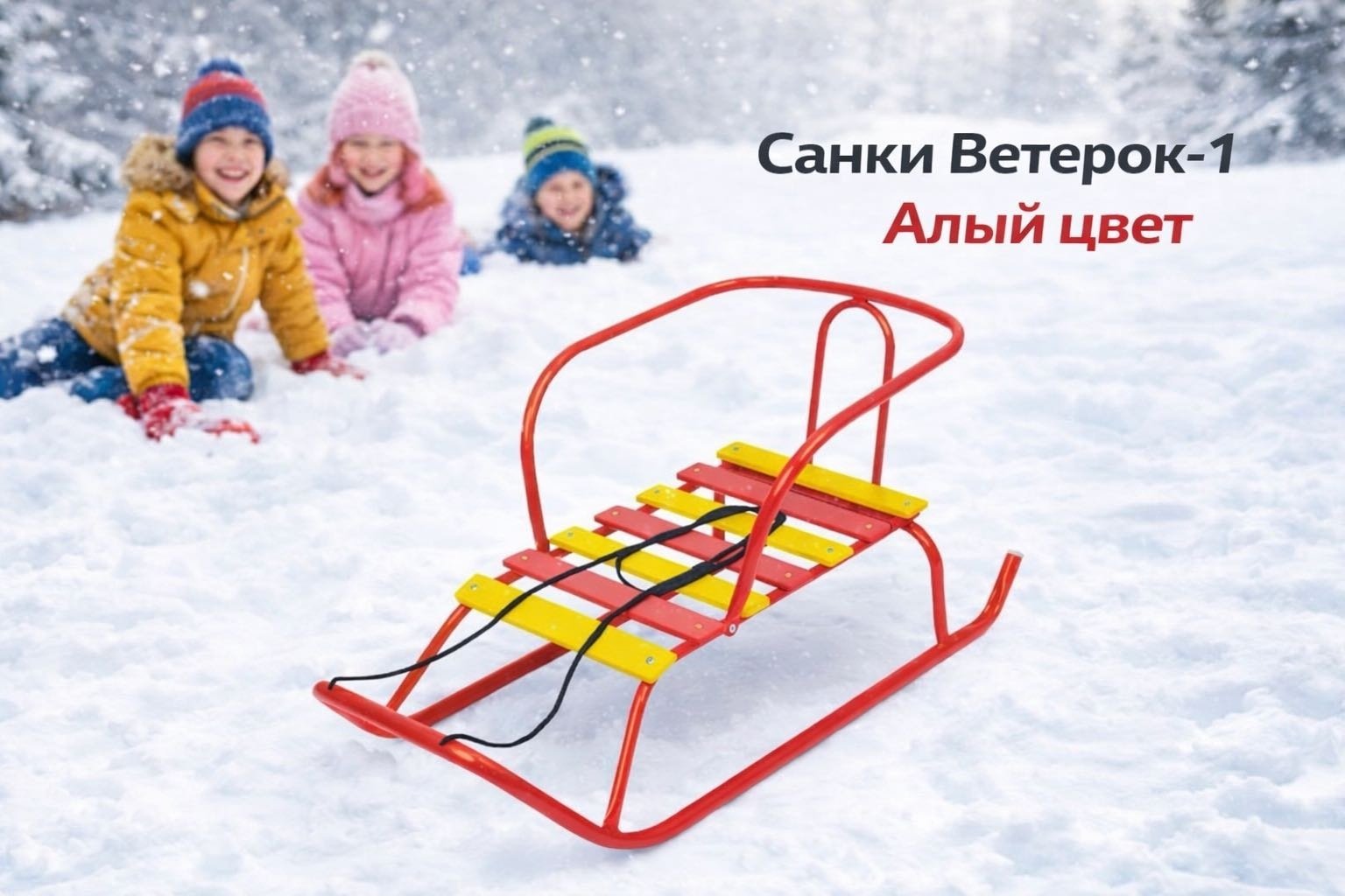 Санки детские "Ветерок 1" (В1/АЛ2 алый)