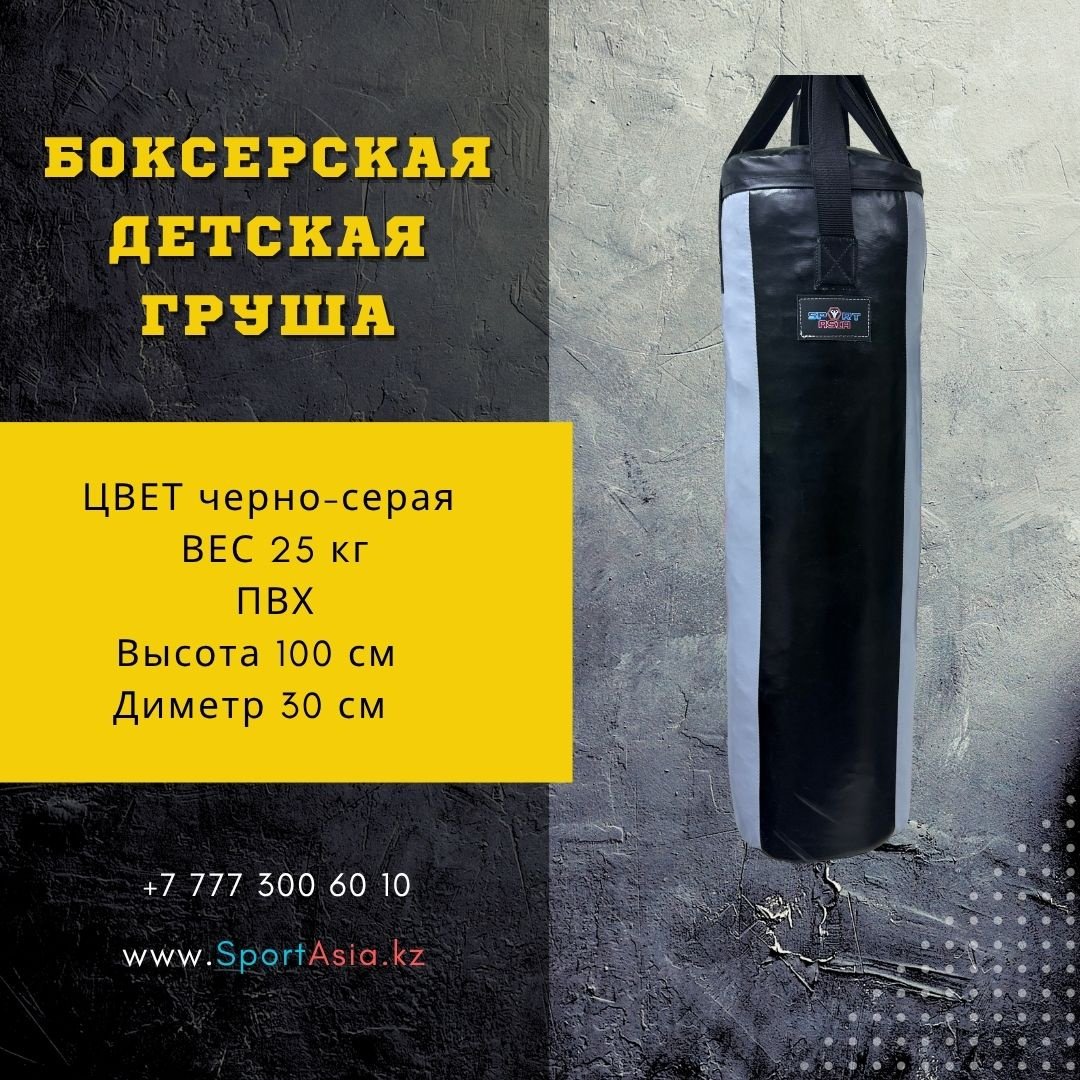 Тренировочный снаряд Sport Asia GRUSHA-DETSKAYA-REMNI-100X30-PVH-SERAYA мультиколор купить,31000