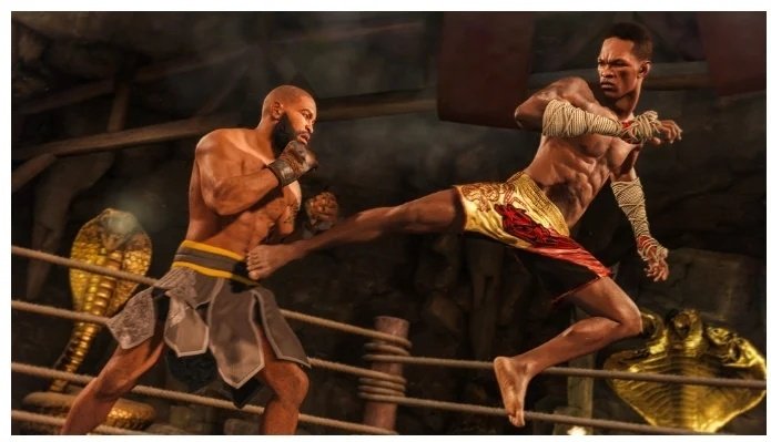 UFC 4 PS4 RUS SUB купить,23000