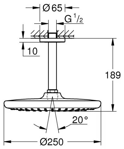 Grohe верхний душ White House Grohe Tempesta 250 26664000, латунь купить,137800