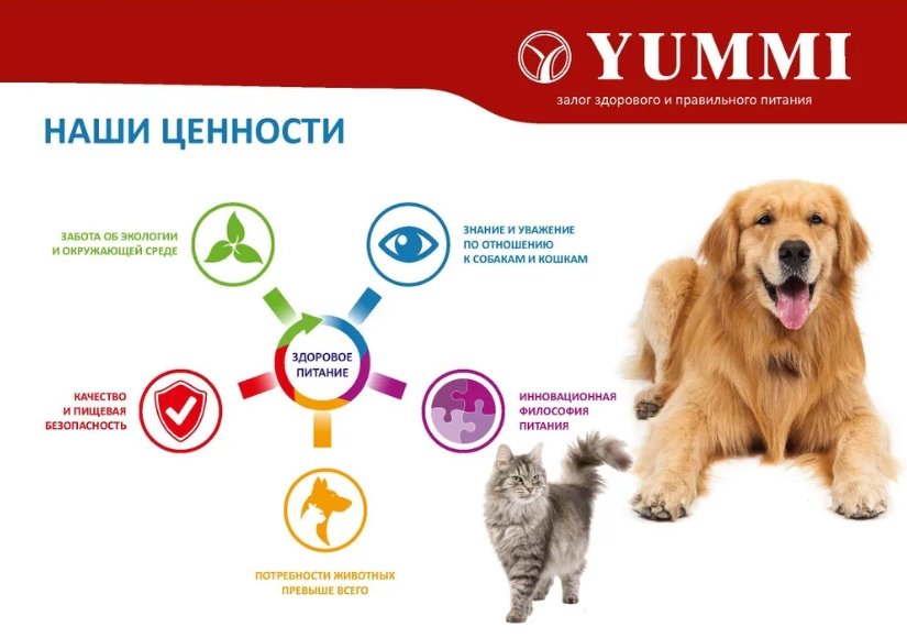 Корм YUMMI Premium Quality Говядина для взрослых средних и крупных пород 20 кг купить,NaN