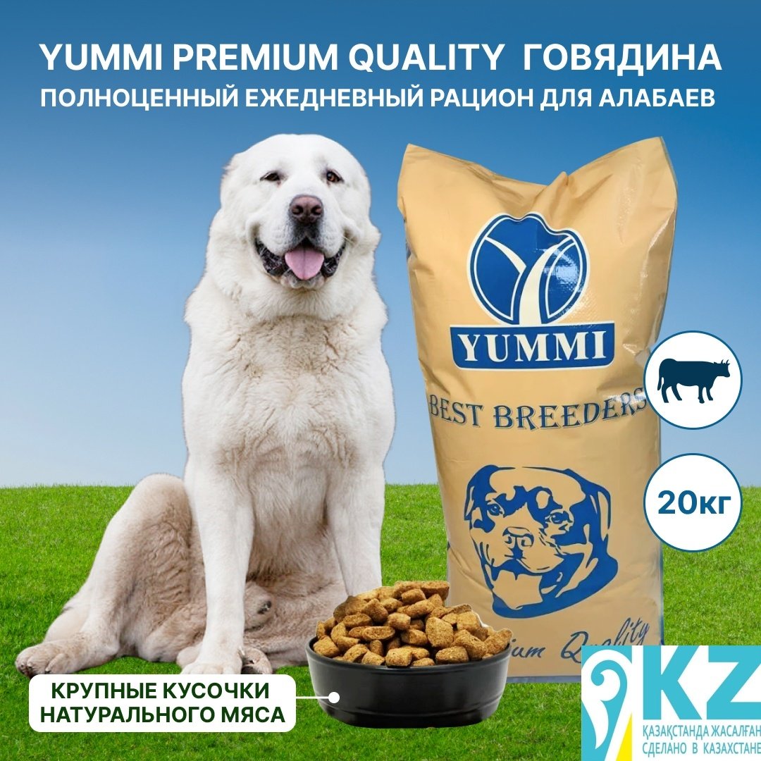 Корм YUMMI Premium Quality Говядина для алабаев 20 кг купить,NaN