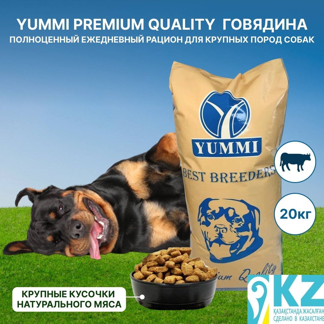 Корм YUMMI Premium Quality Говядина для взрослых крупных пород 20 кг купить,NaN